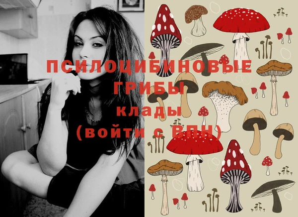 меф Белокуриха