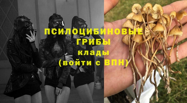меф Белокуриха