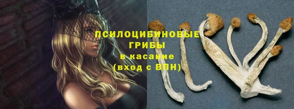 меф Белокуриха