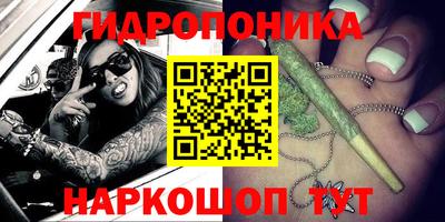 стаф Лесосибирск